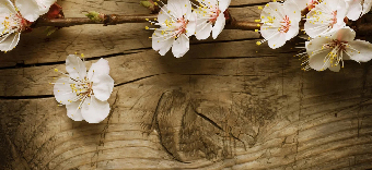 فروش عطر و ادکلن