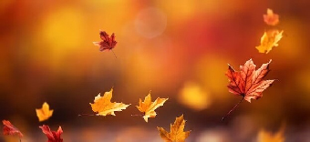 فروش عطر و ادکلن